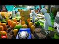 MECCHA CHAMELEON may be 2026's GAME of the YEAR