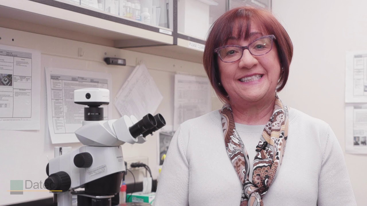 Learn about Our Thick Film Heating Elements