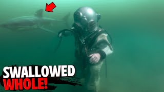 This Hookah Diver Is SWALLOWED WHOLE By Deadly Great White Shark! by Final Affliction 34,838 views 3 days ago 9 minutes, 41 seconds