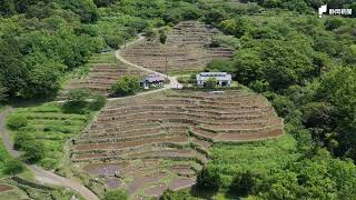 多彩な表情に癒し　静岡県内の棚田群【静岡新聞／あなたの静岡新聞】