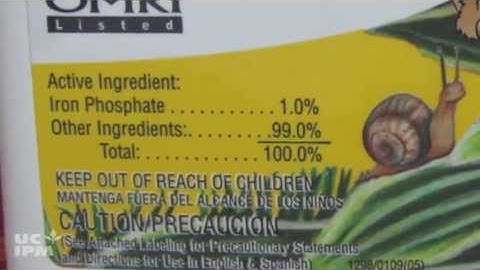 How to apply snail and slug bait - UC IPM