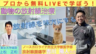 「動物の放射線治療」ノースカロライナ州立大学獣医学部放射線腫瘍学　獣医　吉川陽人先生〜プロから無料ライブで学ぼう〜