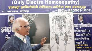 Quadriceps muscles और E.H. मेडिसिन viralvideo shortvideo alternativemedicine electropathy