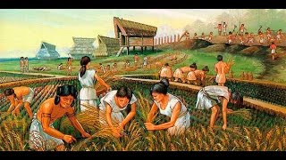 Historia Y Origen De La Agricultura - Tvagro Por Juan Gonzalo Angel