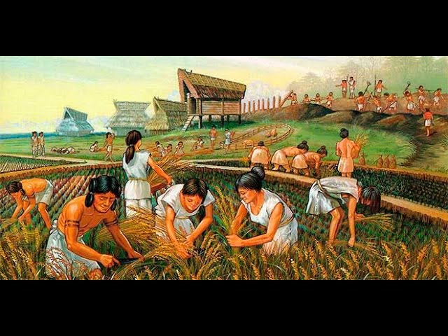Historia y origen de la Agricultura - TvAgro por Juan Gonzalo Angel