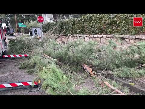 Intervenciones de BomberosCM