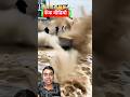 ai vala video #shorts