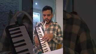 Verdadeiro Amor - Magníficos Escaleta #forro #escaleta #melodica #musica #forrozão #forródasantigas