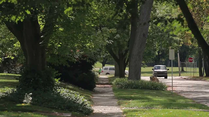 Deb Odom Stern Presents: Burns Park - A Neighborho...