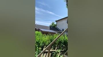 We have Built a zip-line from the treehouse