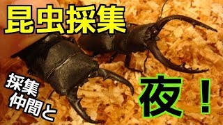 ★昆虫採集★虫取り網★最長７ｍ１２ｃｍ クワガタムシ・カブトムシの採集に！捕虫網 hq720.jpg?sqp=-