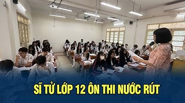 Sĩ tử lớp 12 ôn thi nước rút