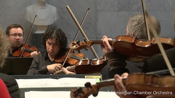 W. A. Mozart: Symphony No. 40 in g minor, K. 550, II. Andante