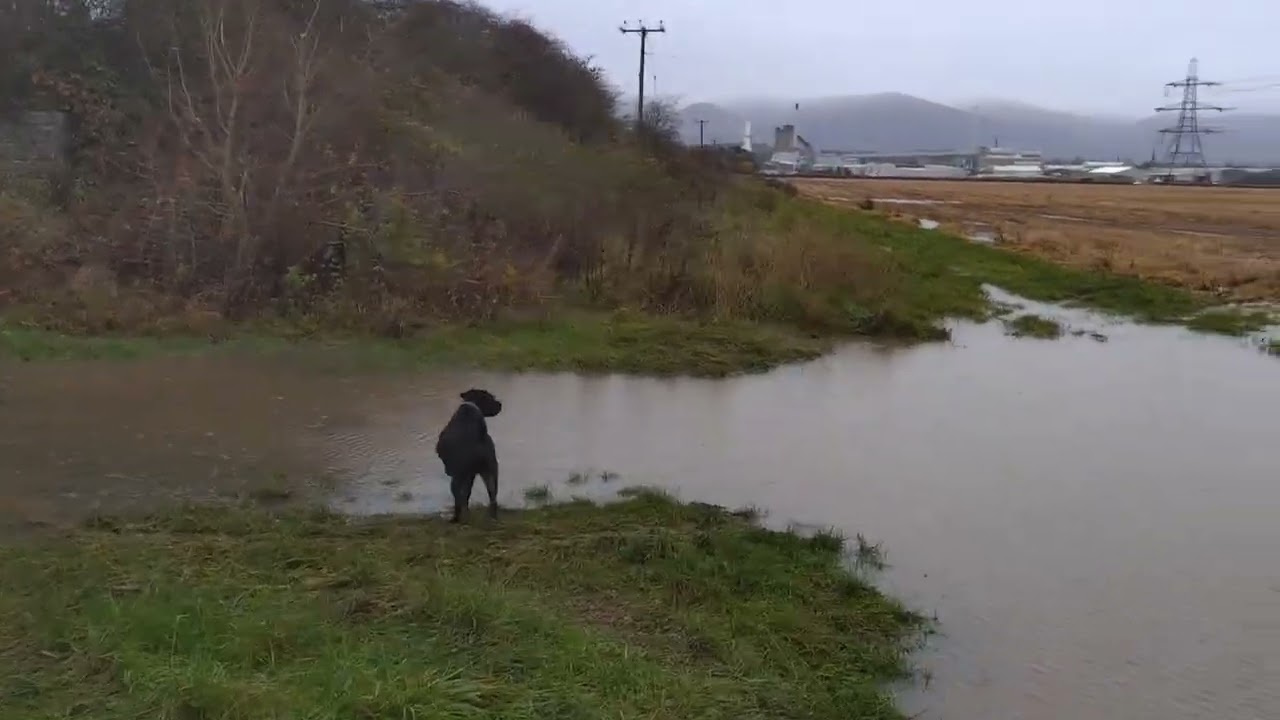Закон о свободе слова и безопасности в Интернете должен защитить уязвимых людей в Южной Аллоа, Шо...