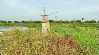 mikat burung klik-klik (prenjak sawah) tercepat. gak sampai lima menit.