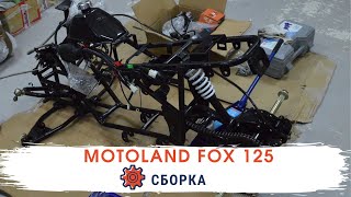 Инструкция по сборке квадроцикла Motoland Fox 125cc