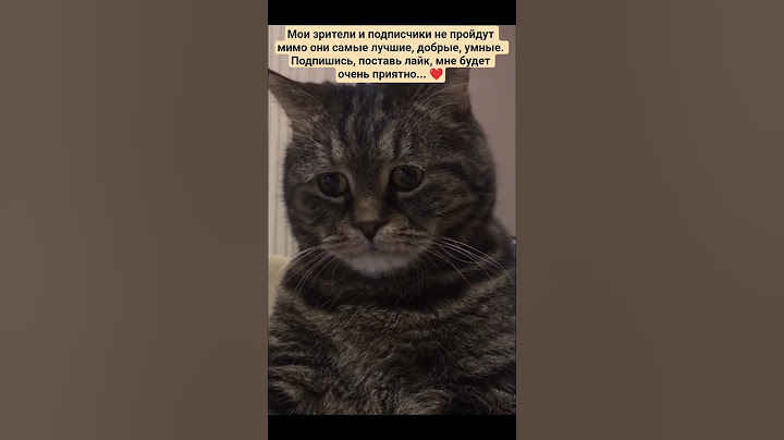 #🥺🥺🥺Одна подписка=1 друг котику#подпишись#cat#котик#shorts#кот#актив