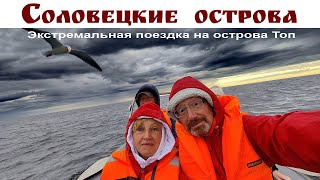 СОЛОВКИ: Водная прогулка на скальные острова Топ - знакомство с местными тюленями - Анти-Релакс