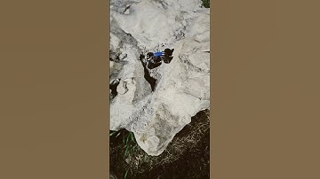 PROPHET-DESIGNS ECHO V2.5 NEW DOIBLE BEND LINKS AND JCONCEPTS LANDMINDS 63MM