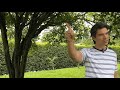 Tiempos y Tiempos que Determina - Código 36