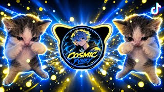 DJ KICAU KICAU KICAU MANIA SLOW VIRAL TIKTOK FULL SONG MAMAN FVNDY 2026 