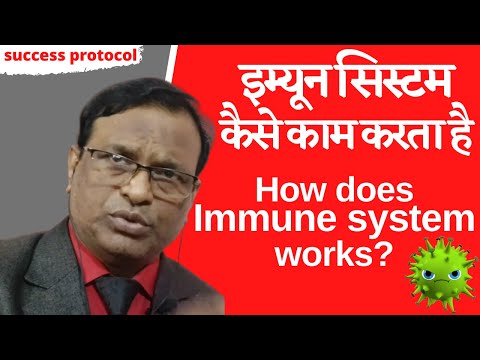 आपका इम्यून सिस्टम कैसे काम करता है? How Does Your Immune System Works || HerbeVille Healthcare