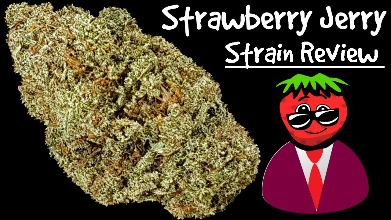 Strawberry Jerry OFFICIAL Strain Review 🍓🍓 🍓 YouTube