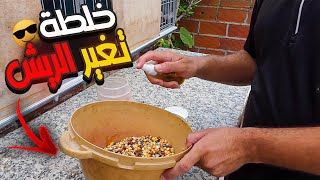 أكل صحي في فترة تغير الريش (البدالة او القلش )