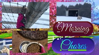 Cozy Morning Barn Chores In Fresh Snowfall