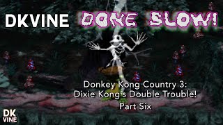 DK Vine Done Slow! - Donkey Kong Country 3: Dixie Kongs Double Trouble! (part six)