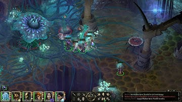 Pillars of Eternity Good Playthrough in Hard (HD) - Radiant Spore