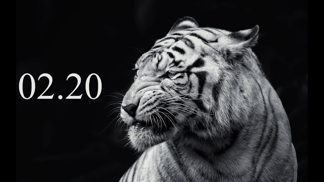 The 28 Forex Patterns Complete Guide • Asia Forex Mentor forex 28