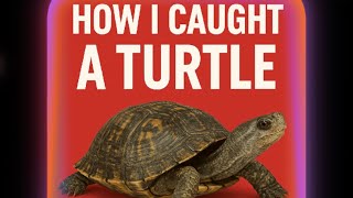 I how caught a turtle and saved it