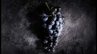 видео: Классика Испании Темпранильо Tempranillo чистокровный испанец картинка: Классика Испании Темпранильо Tempranillo чистокровный испанец