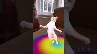 Shakalaka Booom shakalakaboomboom shakalaka funnycats cats catshorts Clara Claire