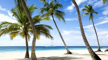 Download KeepVid Pro 7.1.0.6 Lifetime Full Crack