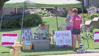 Le Mars, IA lemonade stand raises money for SIDS