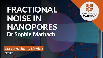 Fractional noise in nanopores