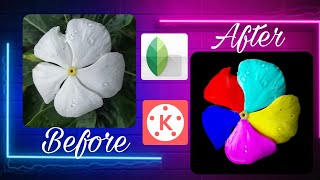 How to Flower photo editing I colour grading|How to flower editing Before & After | snapseed editing screenshot 5