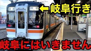 【カオス】岐阜とは真反対に走る理解不能な普通列車がありました