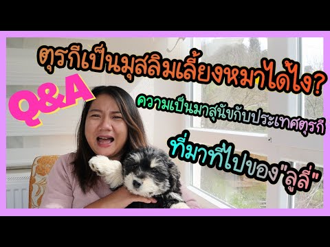 วีดีโอ: มีชีวิตอยู่กับหมาตาบอดของคุณ