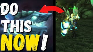 Do this NOW in Phase 1! TBC Netherwing Guide