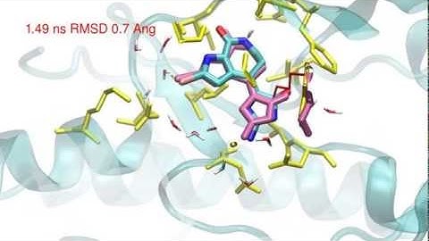 Cyclin-dependent kinase 2 in complex with Hymenialdisine