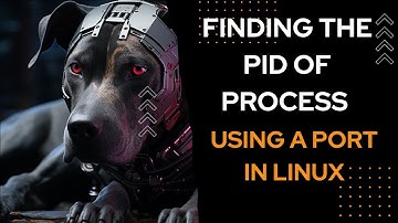 Mastering Linux Troubleshooting: Identify the Process Blocking Your Port #linux #computernetworks