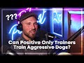 Show us how you would train an aggressive dog zak george review