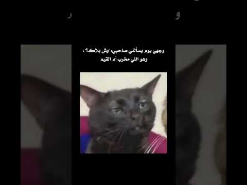 ودك تعطيه كف على اذنه بس تصبر عشان ماتخرب العلاقة اكسبلور Ps5 ميمز ضحك Gaming Fyp