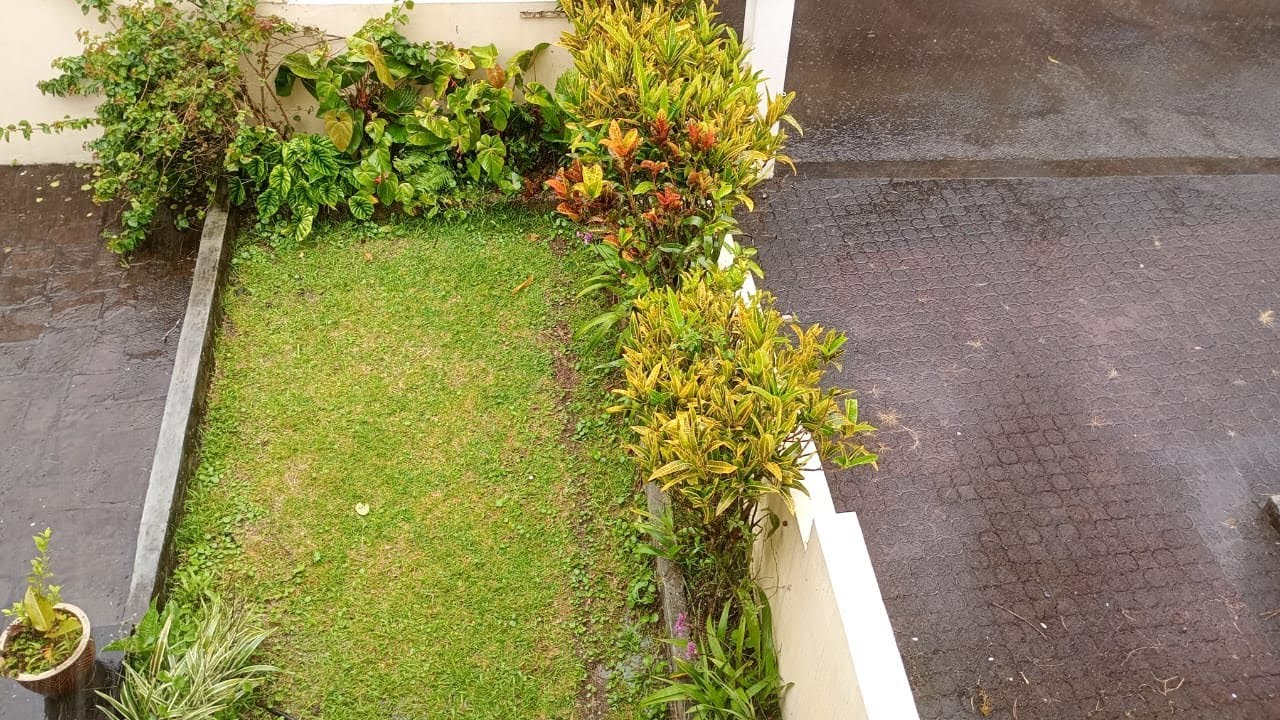 It's Raining here 🌧️