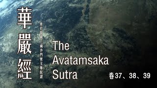 《大方廣佛華嚴經》卷 37，38，39︱大藏經，龍藏，第84部，25~27册︱唐於闐國三藏沙門實叉難陀譯