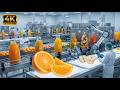 Juice Production Process Revealed: From Farm Fresh Oranges to Your Glass Truth