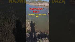 Wędka trzeszczała! Co to mogło być? 🎣 #fishing #wędkarstwo #fpy #szczupak